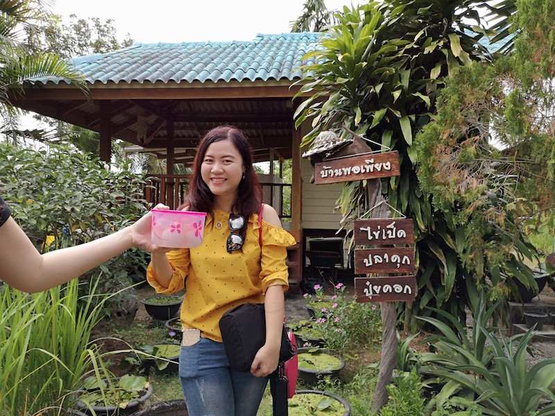ภาพที่ 29