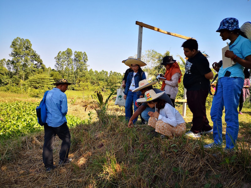 ภาพที่ 8