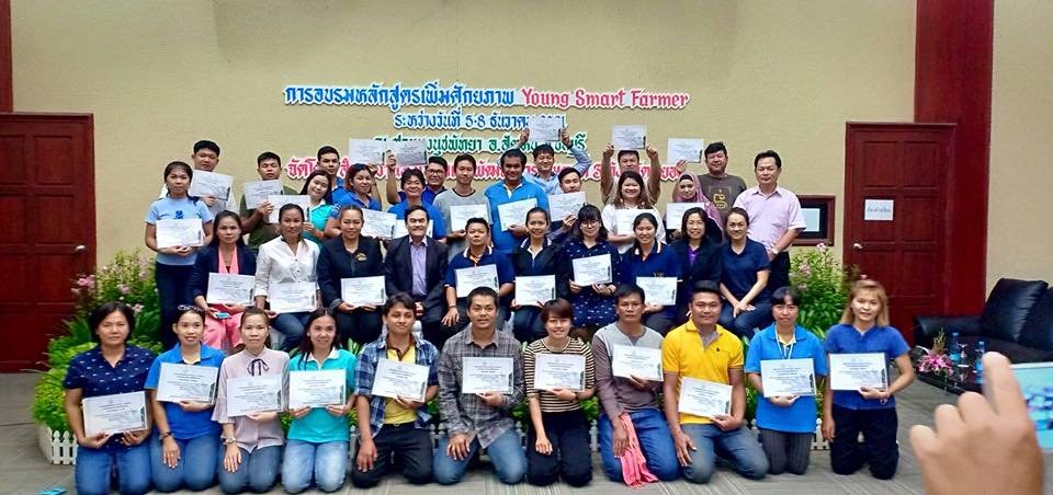 ภาพที่ 12