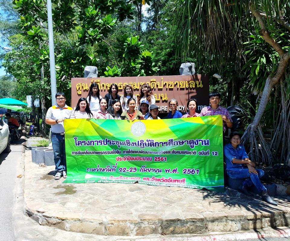 ภาพที่ 1