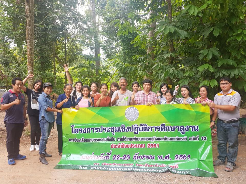 ภาพที่ 5