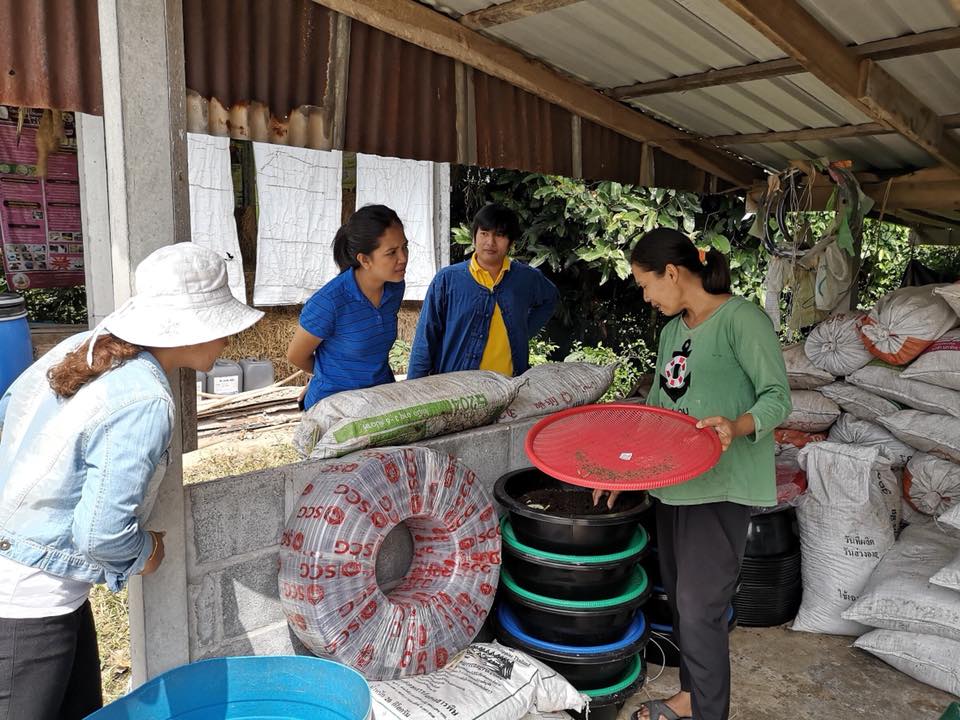 ภาพที่ 3