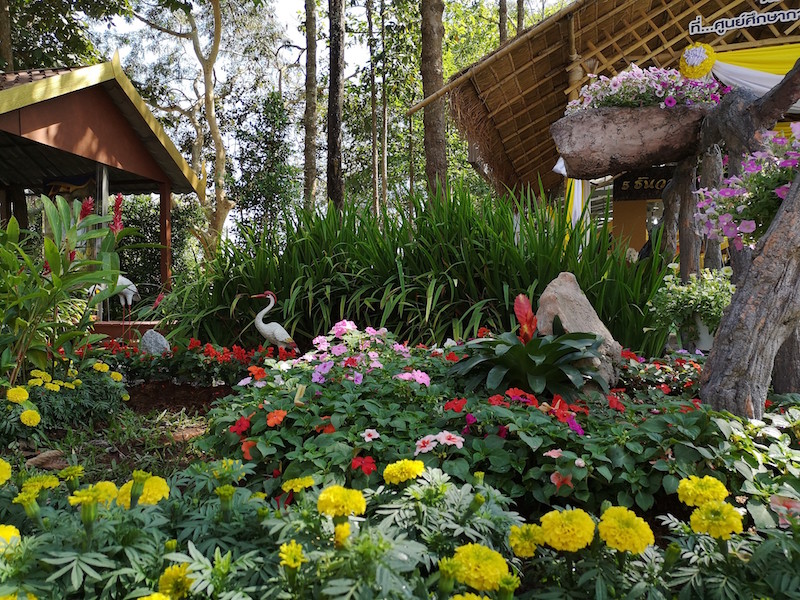 ภาพที่ 3