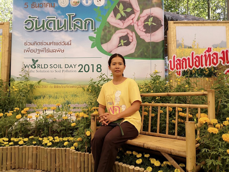 ภาพที่ 14
