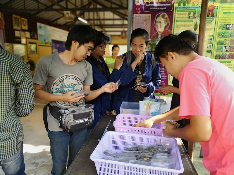 ภาพที่ 1