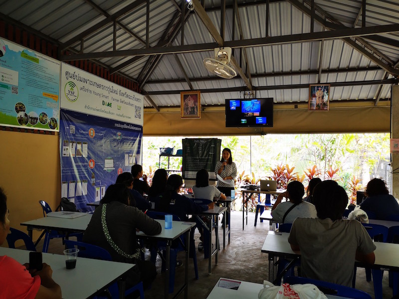 ภาพที่ 17