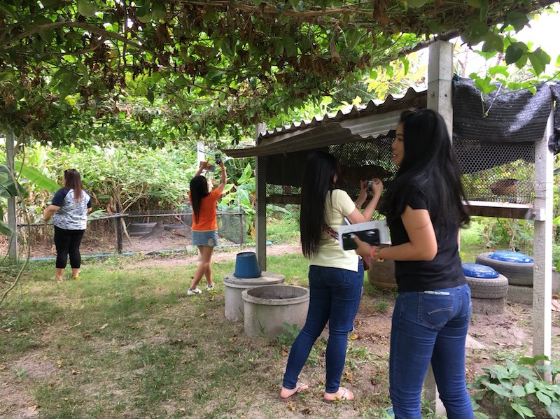 ภาพที่ 4