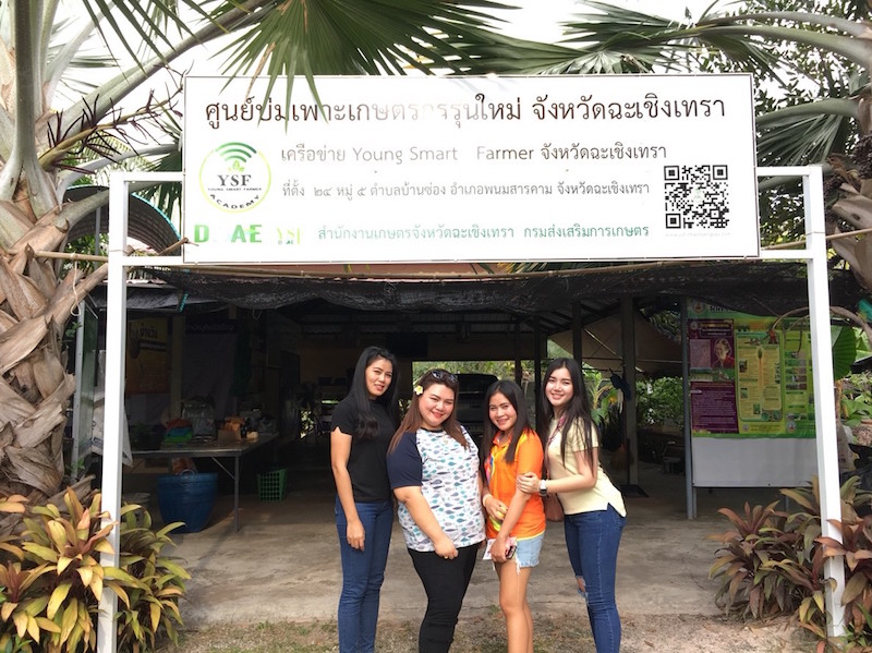 ภาพที่ 1