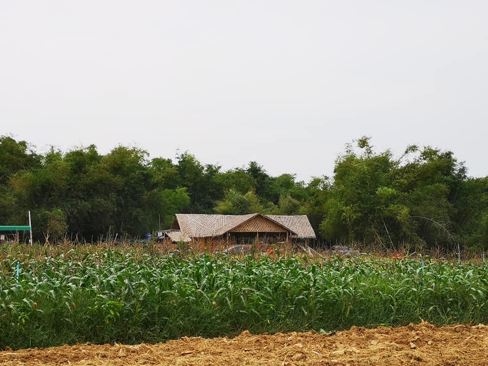 ภาพที่ 3