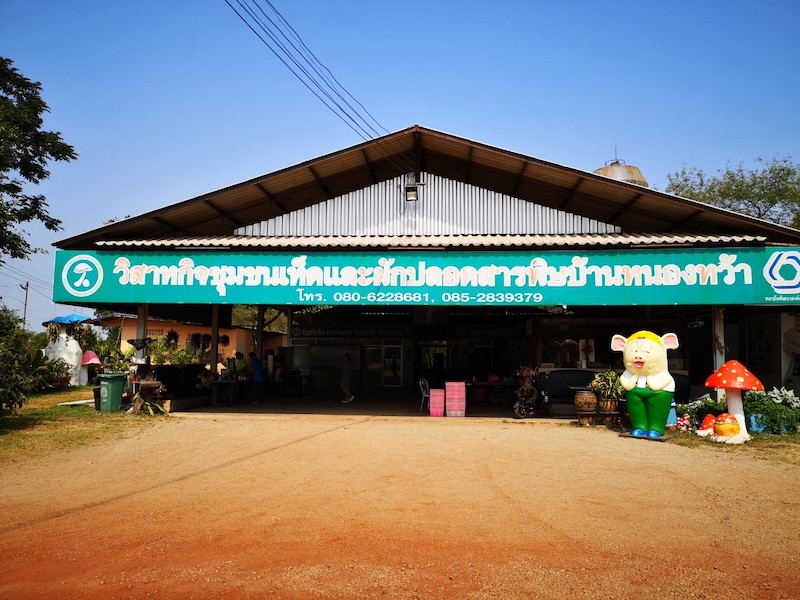 ภาพที่ 5