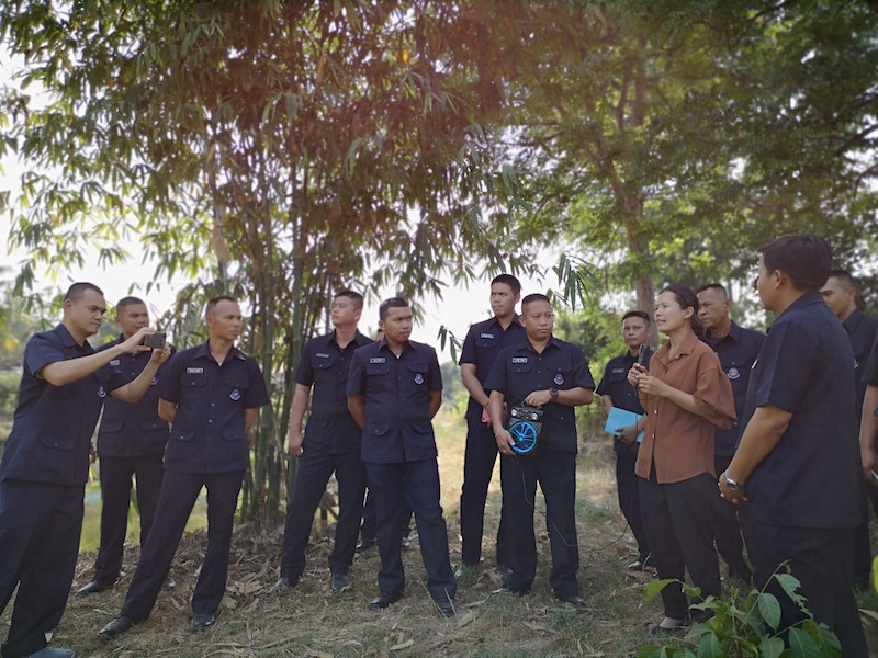 ภาพที่ 13