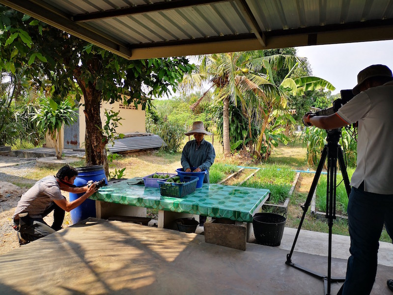 ภาพที่ 6