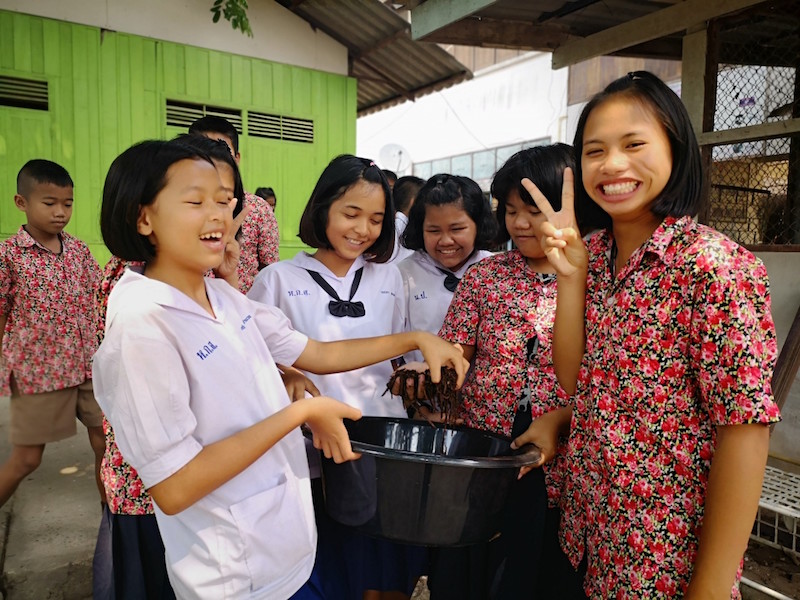 ภาพที่ 8