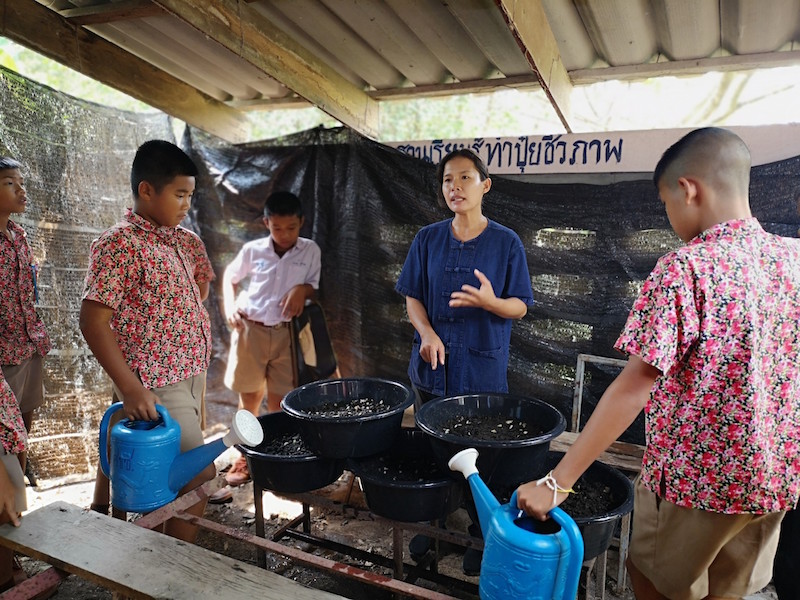ภาพที่ 16