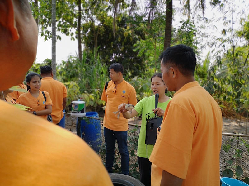 ภาพที่ 6