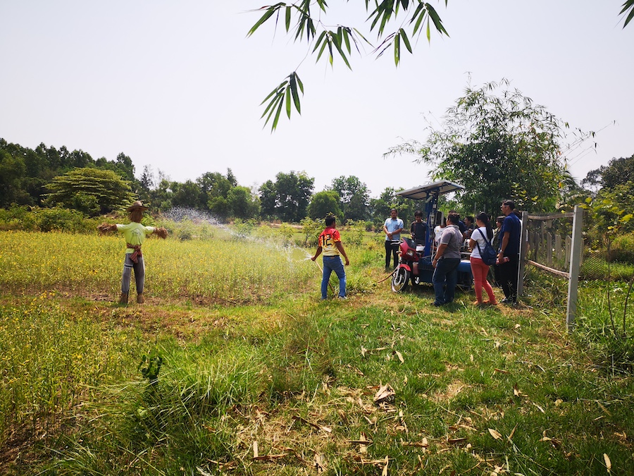 ภาพที่ 16