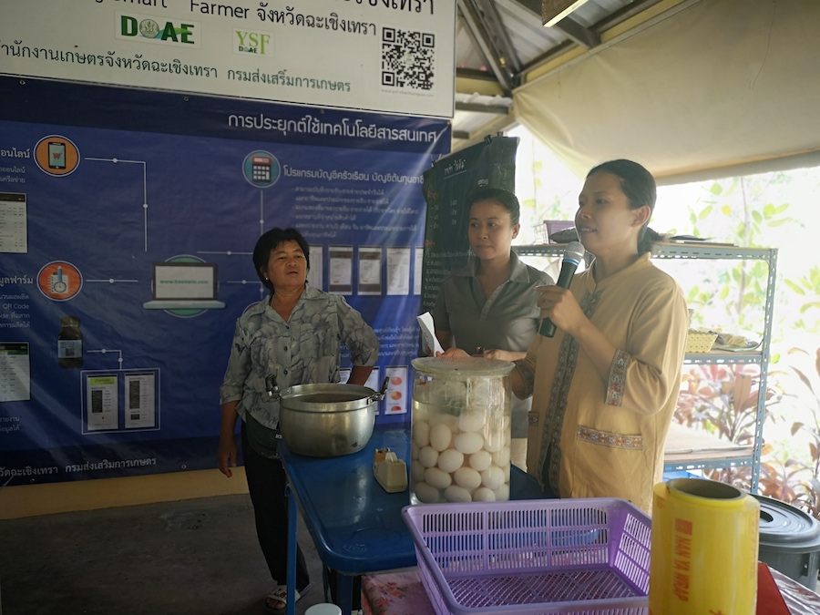 ภาพที่ 31