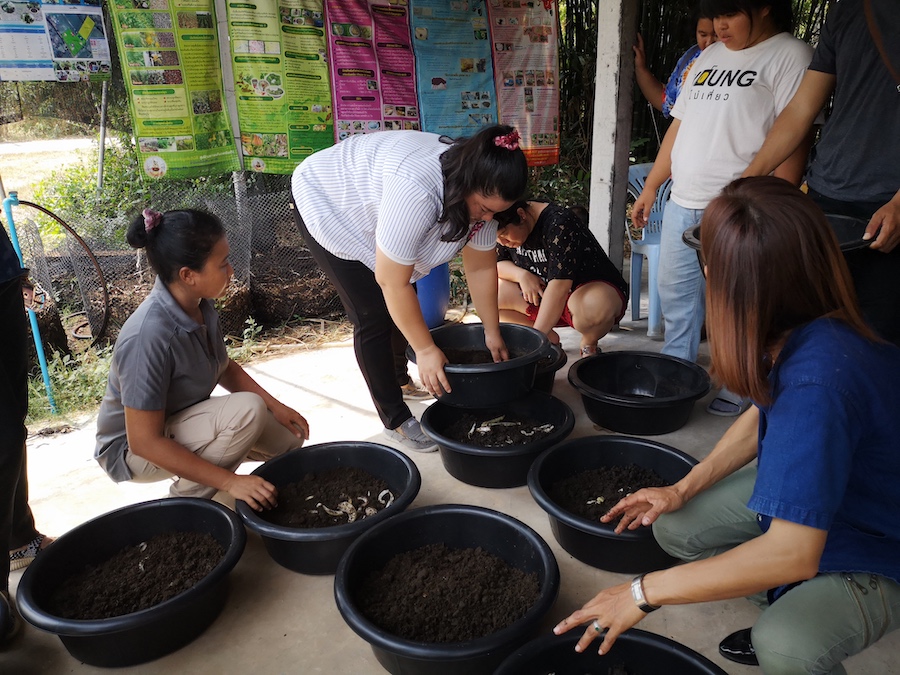 ภาพที่ 41