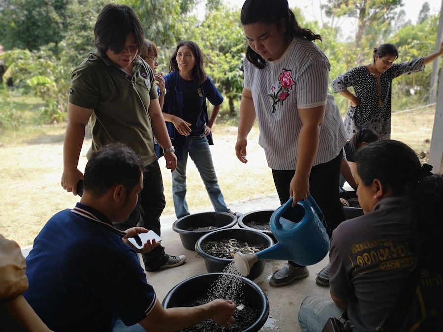 ภาพที่ 44