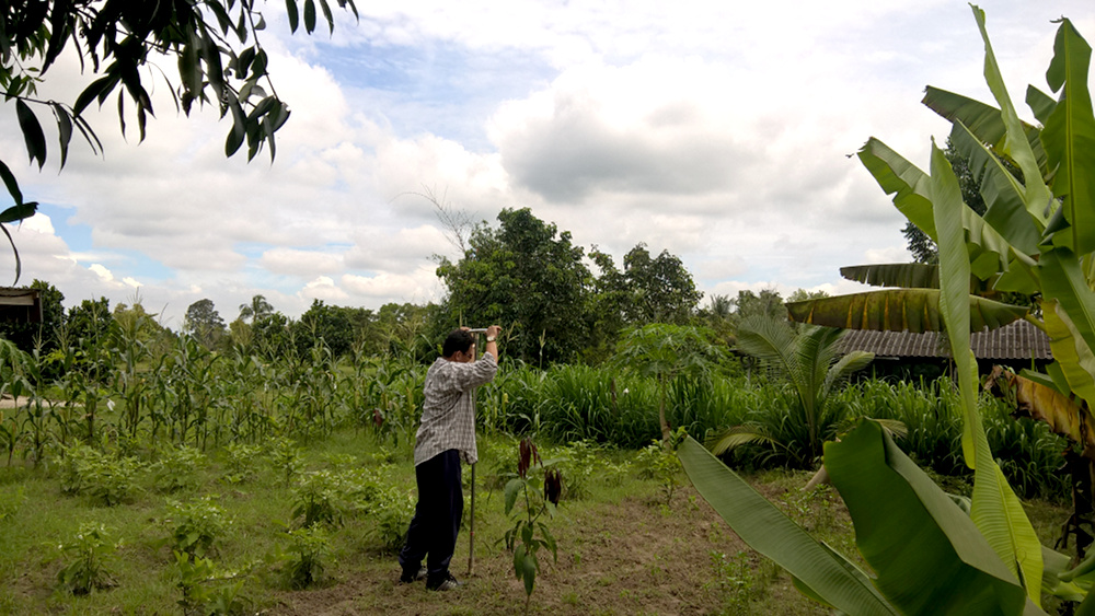 ภาพที่ 2
