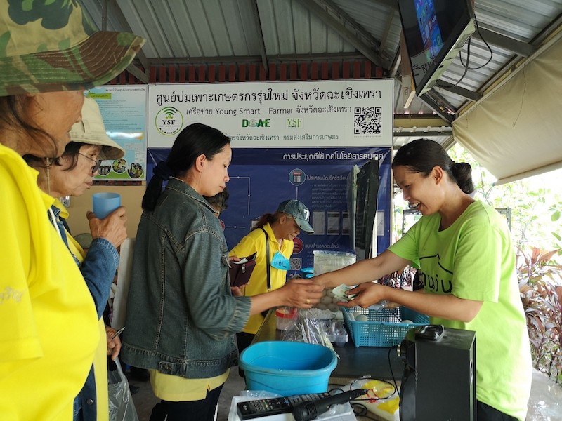 ภาพที่ 5