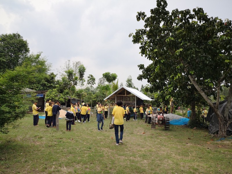 ภาพที่ 7