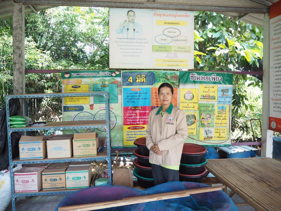 ภาพที่ 1