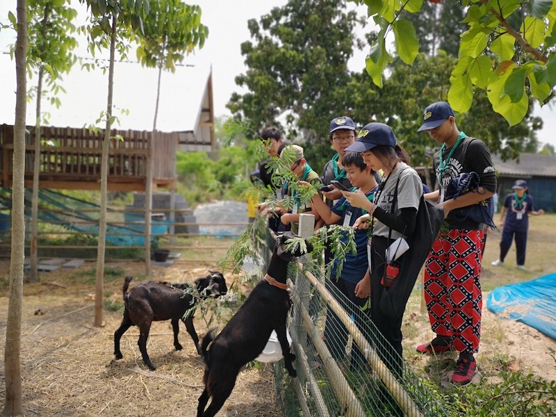 ภาพที่ 11