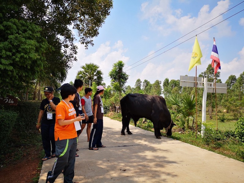 ภาพที่ 3