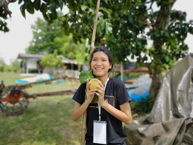 ภาพที่ 7