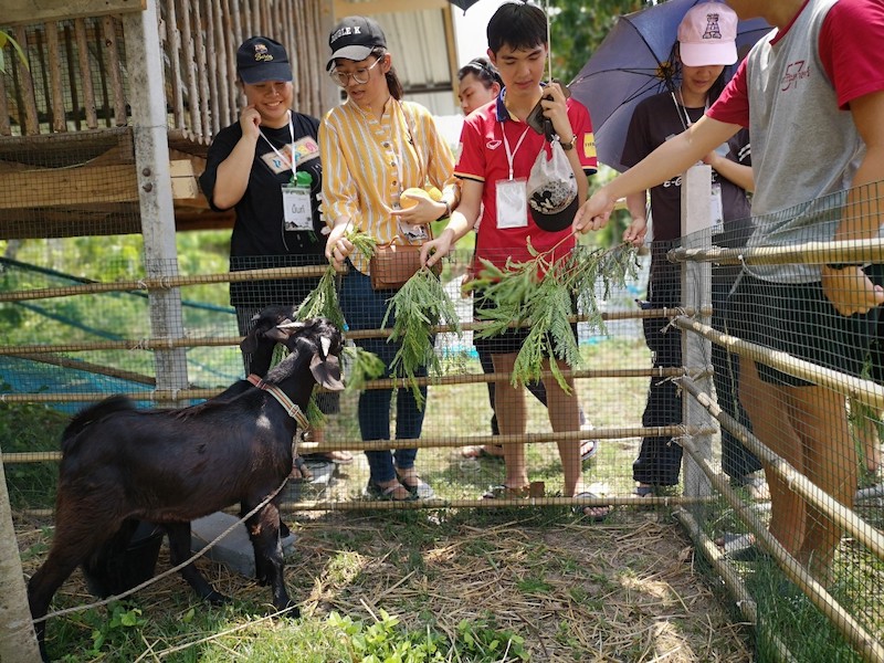 ภาพที่ 18