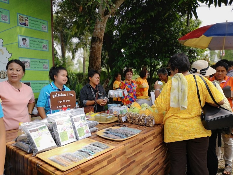 ภาพที่ 6