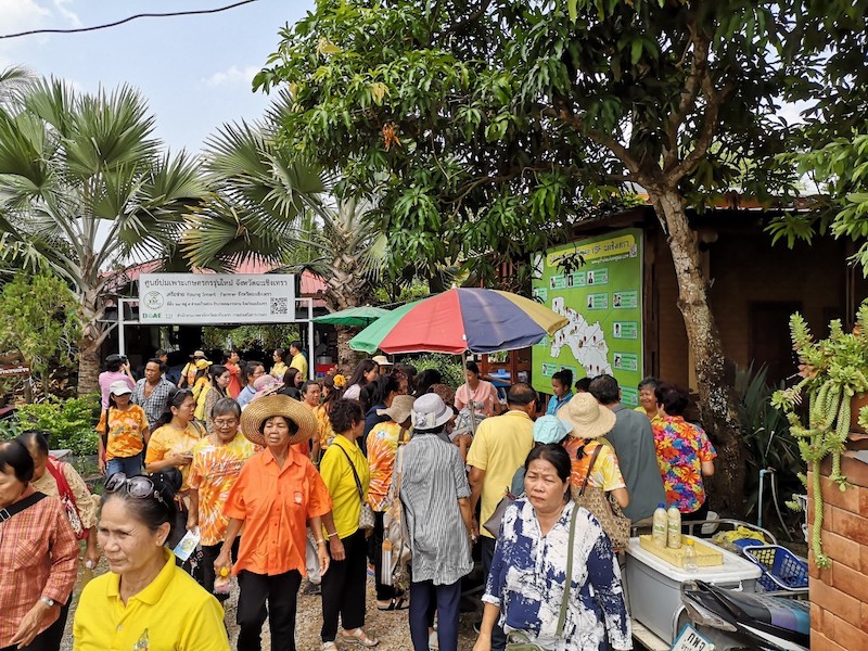 ภาพที่ 8