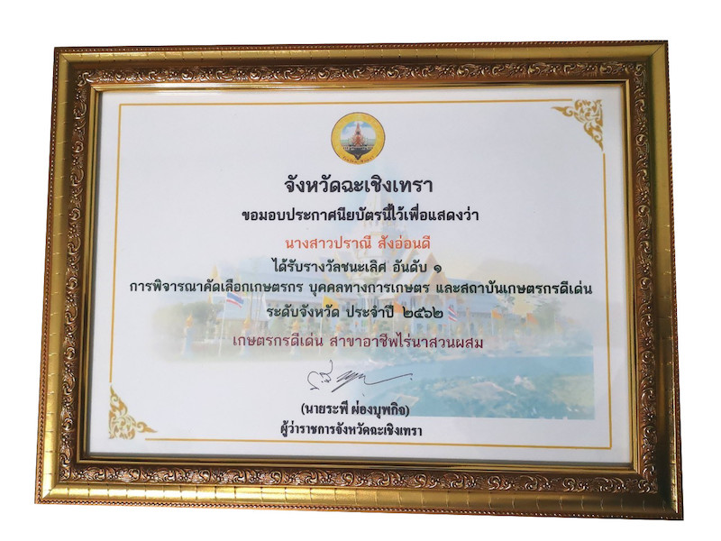ภาพที่ 5