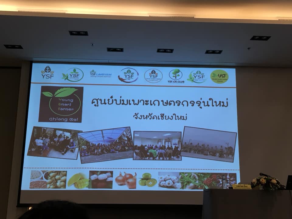 ภาพที่ 10
