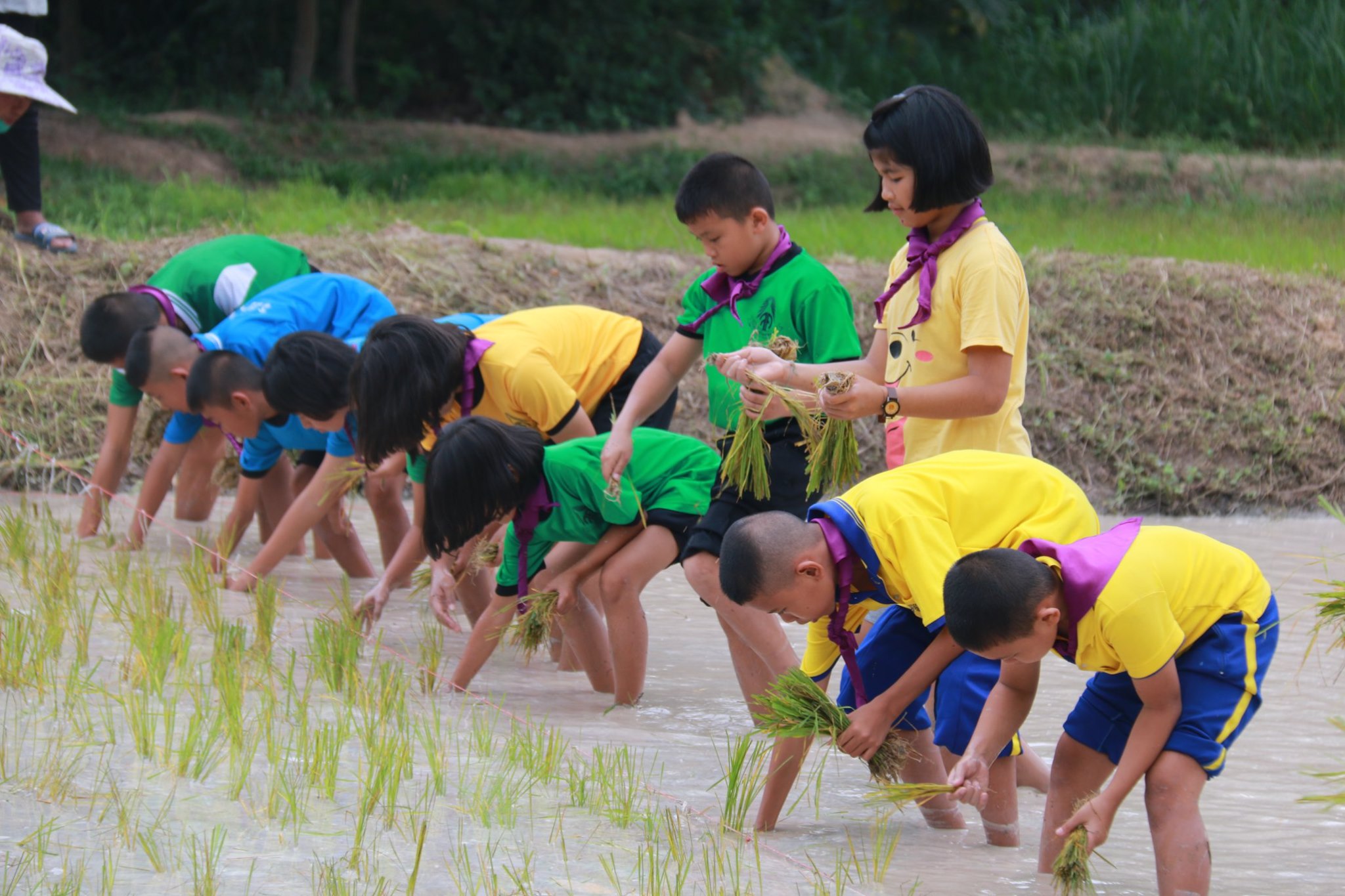 ภาพที่ 4