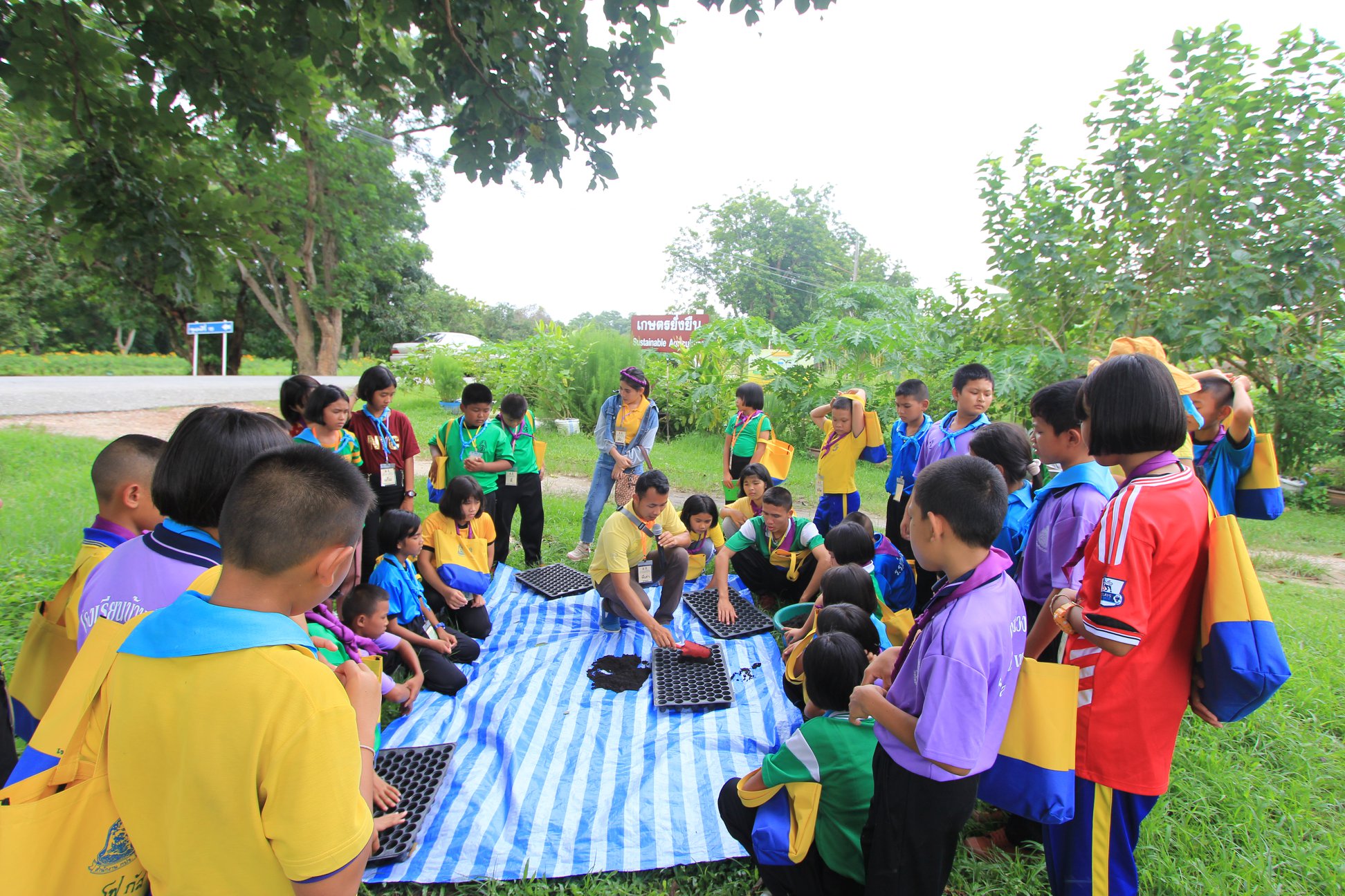 ภาพที่ 16