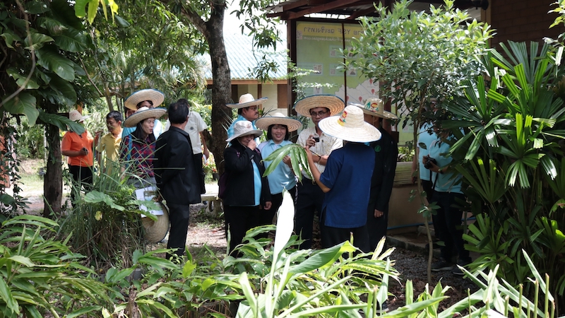 ภาพที่ 11