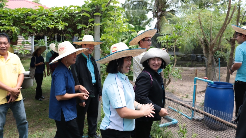 ภาพที่ 13