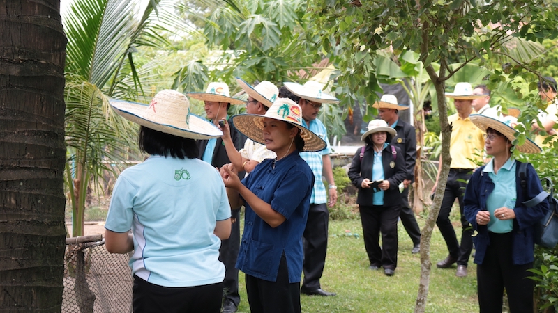 ภาพที่ 14