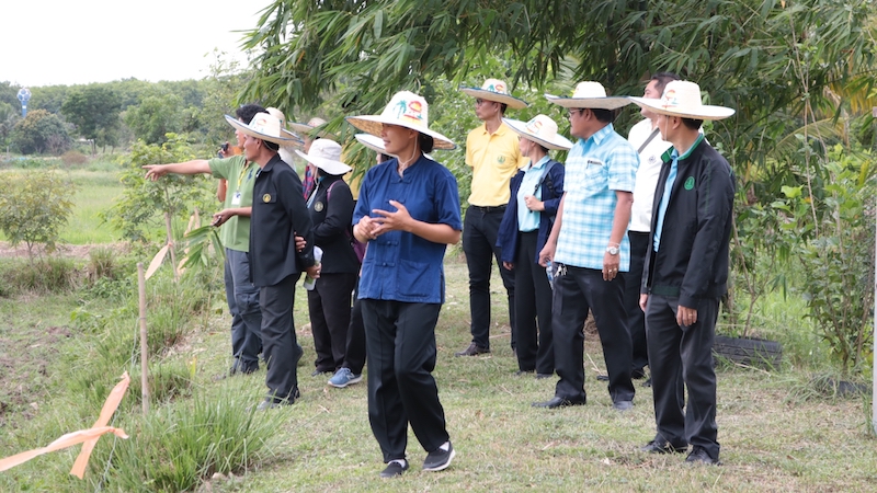 ภาพที่ 15