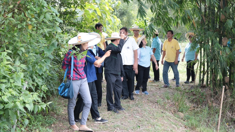 ภาพที่ 16