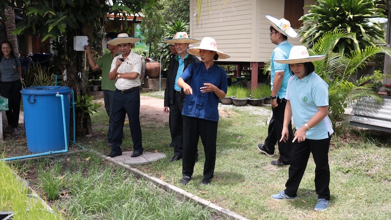 ภาพที่ 19