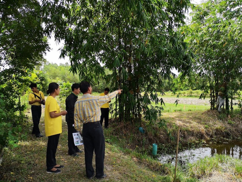 ภาพที่ 5