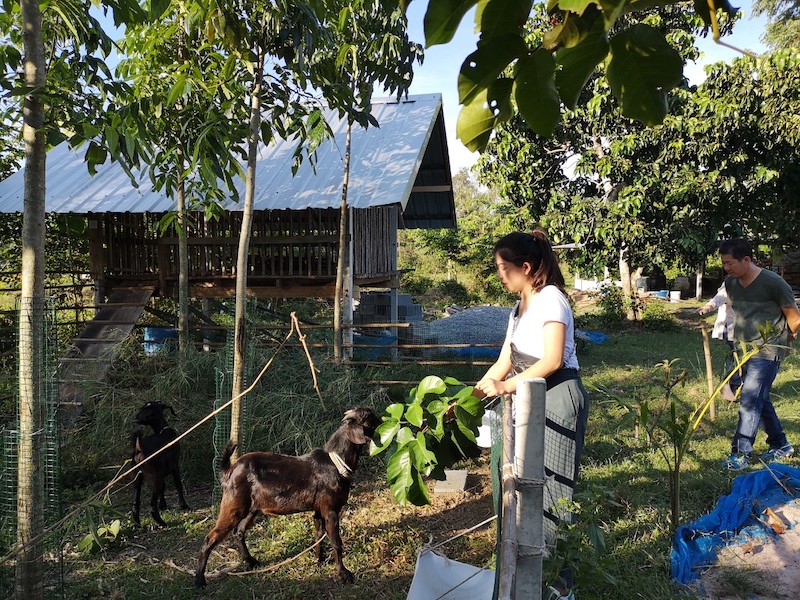 ภาพที่ 5