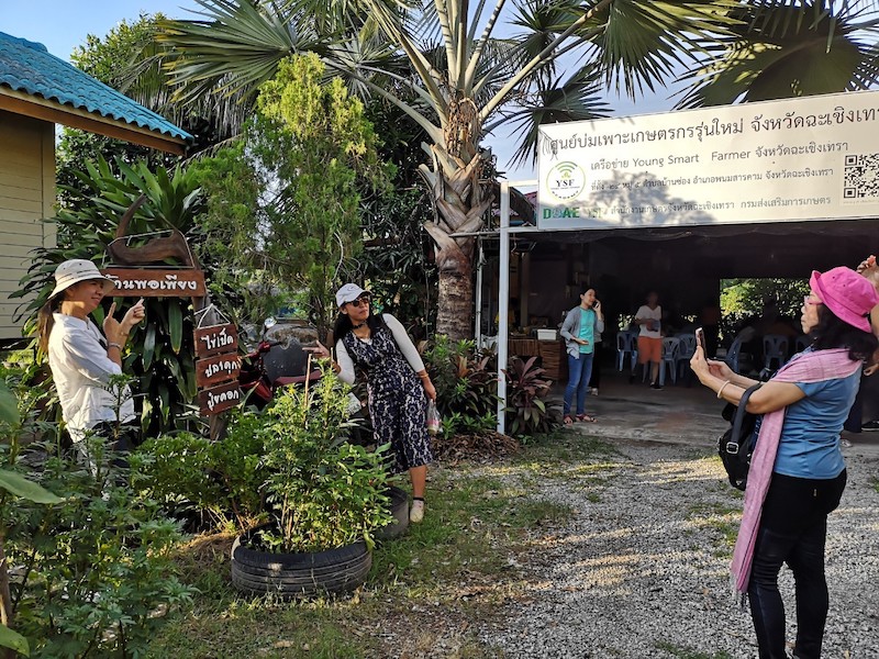 ภาพที่ 10
