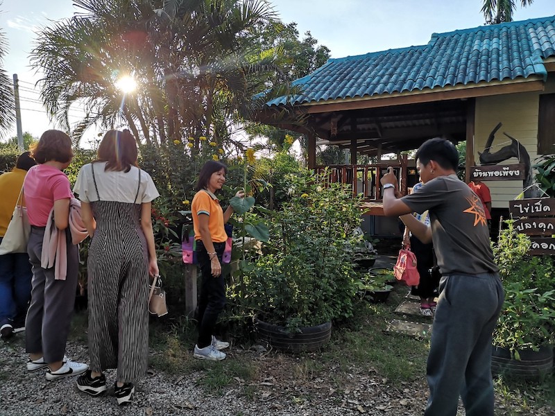 ภาพที่ 11