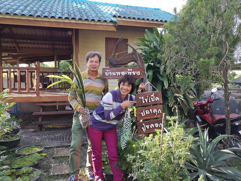 ภาพที่ 12