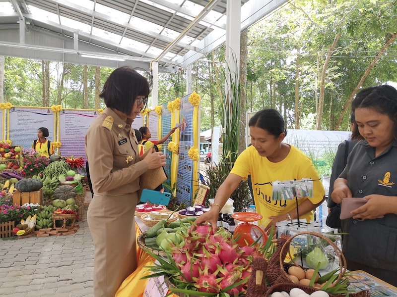 ภาพที่ 5