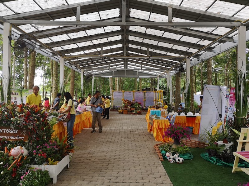 ภาพที่ 8